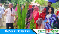 মৌলভীবাজারের কৃতি সন্তান, জিন বিজ্ঞানী ড. আবেদ চৌধুরীর নতুন উদ্ভাবন পঞ্চব্রীহি ধান। এক গাছে ফলন ৫ বার।
